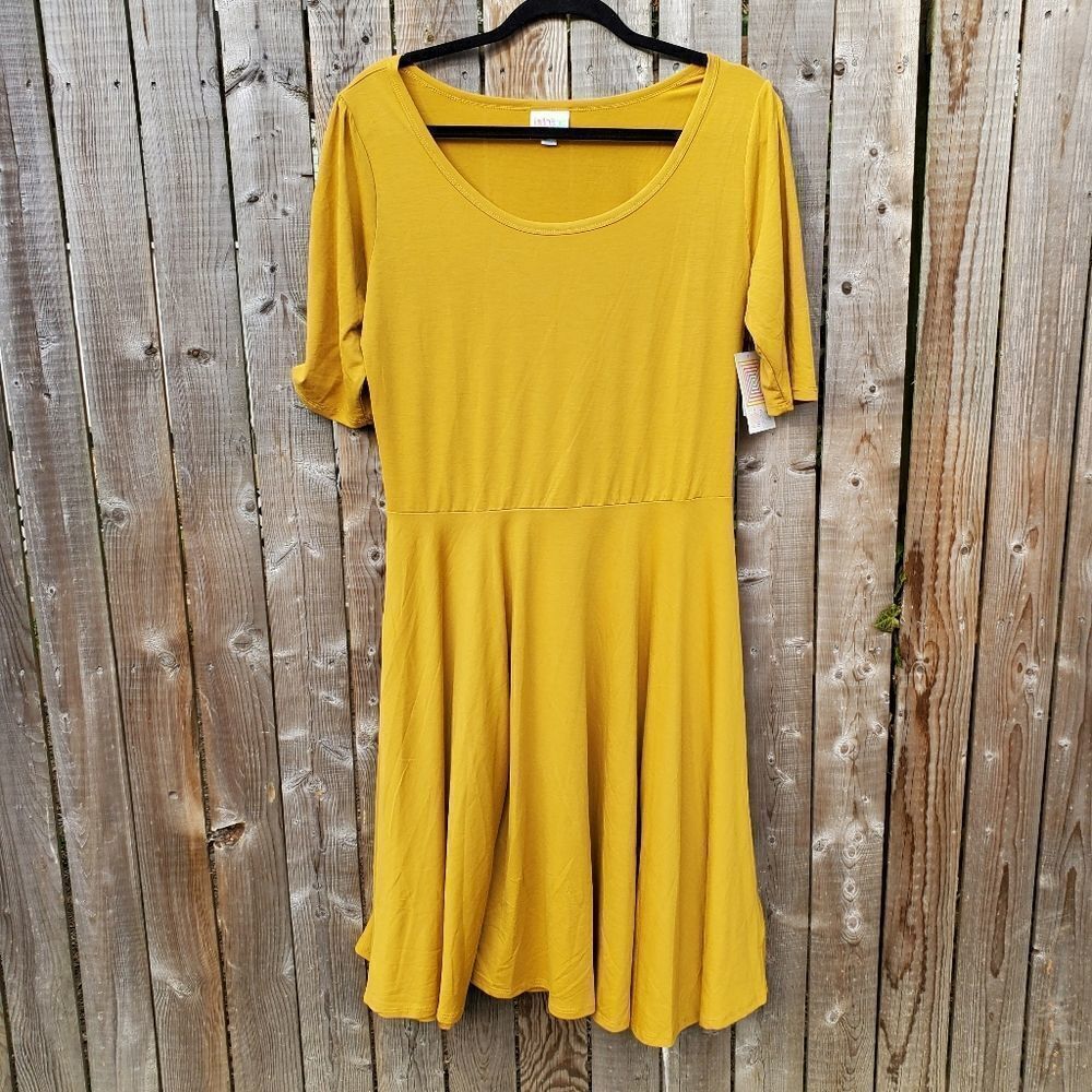 LuLaRoe Nicole Dress